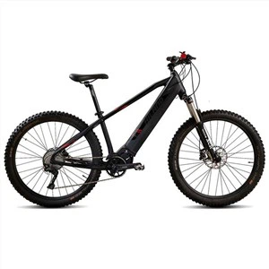 จักรยานเสือภูเขาไฟฟ้า 4.0 Fat Tyre Electric Bicycle Beach