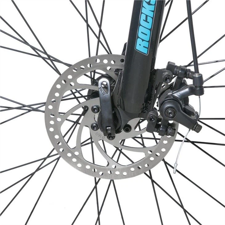 Electric Mountain Bike price