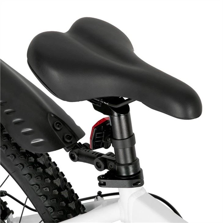 China Electric Mountain Bike factory