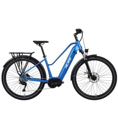 Joykie Chinese Factory 29 "Alloy Frame Suspension Fork 9 Speeds 36V 250W Center Motor Electric City Bike Trekking Ebike